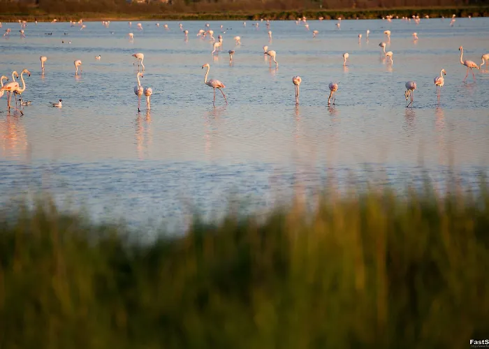 Hotel Solemare Milano Marittima