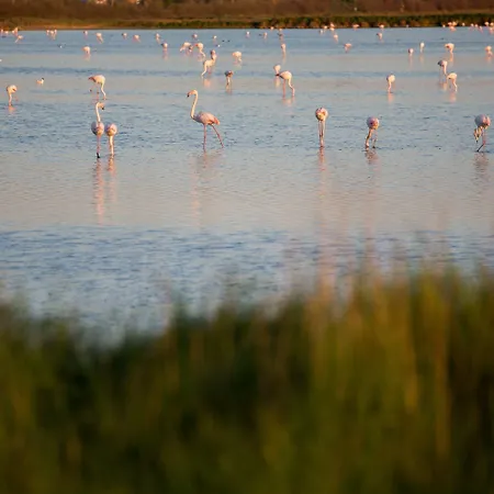 Hotel Solemare Milano Marittima